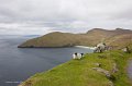 Sheep on the cliff near Keem Strand, Achill Island
